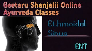 Ethmoidal sinus by Geetaru Shanjalii BAMS AYURVEDA shalakyatantra [upl. by Ainaled508]