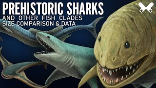 SHARKS and other PREHISTORIC FISH size comparison and data [upl. by Adlemy634]