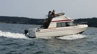 1978 Bayliner Boat Command Bridge 237quot 305 V8  Beauty on the water [upl. by Nnairek]