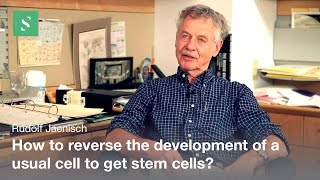 Induced pluripotent stem cells  Rudolf Jaenisch [upl. by Tneicniv418]