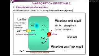 Métabolisme phosphocalcique Pr Nachi [upl. by Repsaj]