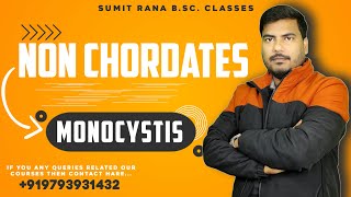 Monocystis  Non Chordates  Sumit Rana Sir [upl. by Gabby]