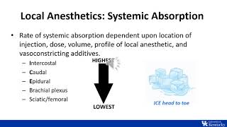 ITE Review  Regional Anesthesia Physiology and Pharmacology  Dr Johnson [upl. by Seuguh329]