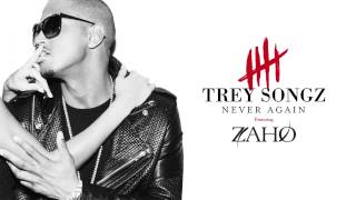 Trey Songz  Never Again feat Zaho Official Audio [upl. by Aehtna]