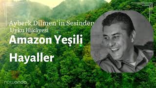 Yetişkinler için Uyku Hikâyesi Amazon Yeşili Hayaller 20 Dakikada Uyku [upl. by Aihsyla234]