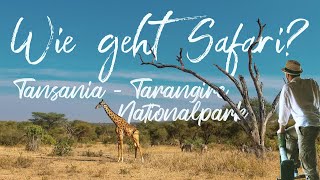 Die besten Safari Tipps  Urlaub im Tarangire Nationalpark Tansania in Afrika  deutsch [upl. by Alistair527]