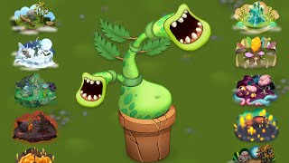 Potbelly  All Monster Sounds amp Animations My Singing Monsters [upl. by Baiss]