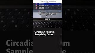 Circadian Rhythm Sample by Drake [upl. by Ahsiket]