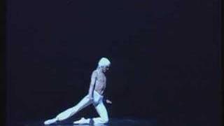 Валерий Михайловский quotЛебедьquotValery Mikhailovsky  Dying Swan [upl. by Ahsital388]