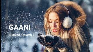 Gaani Lofi l Slowed Reverb l Lofi Akhil Song [upl. by Lobiv]