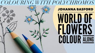 COLOURING in World of Flowers  Polychromos  johannabasford [upl. by Adnuhser]