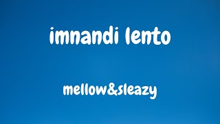 Mellow amp Sleazy X sjavasdadeejay X Titom  Imnandi Lento lyrics ft Tman express [upl. by Isadora645]