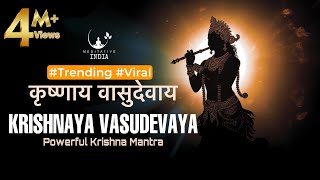 KRISHANAYA VASUDEVAYA 108 Times  POWERFUL Krishna Mantra for Inner Peace  Listen for a Sound Sleep [upl. by Je]