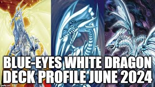 BLUEEYES WHITE DRAGON DECK PROFILE JUNE 2024 YUGIOH [upl. by Notsirhc]