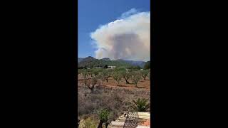 14042024 DailyBuzz Massive forest fire erupts in Tàrbena Alicante province Spain [upl. by Alyar]