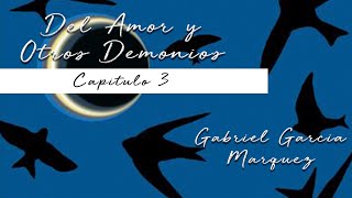 GABRIEL GARCÍA MARQUEZ DEL AMOR Y OTROS DEMONIOS CAPITULO 35 [upl. by Attenyt378]