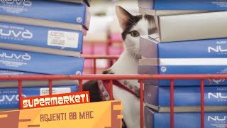 Supermarketi  Agjenti 00 Maç  NGOPTV [upl. by Casta]