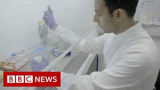 Science rejuvenates womans skin cells to 30 years younger  BBC News [upl. by Aneeras]