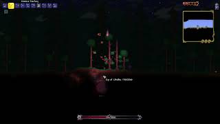 pro terraria gaming fighting the eye of cthulu REUPLOAD [upl. by Wons10]