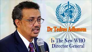 Tigrigna Song for Dr Tedros Adhanom becoming WHO Director General 2017 [upl. by Nibur]