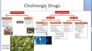 Pharmacology 101 d Physostigmine Myasthenia Gravis Alzeheimers Brain Barrier [upl. by Losse272]