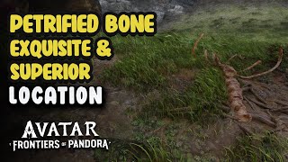 Petrified Bone Superior amp Exquisite Location  Avatar Frontiers Of Pandora [upl. by Tera277]