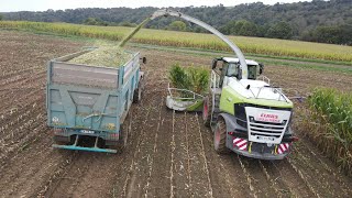 Ensilage 2024 GAEC La Motte Colas Claas Fendt Case Drone [upl. by Sidwell424]