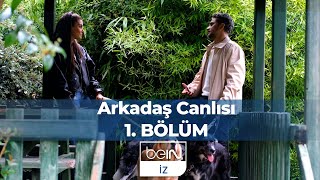 Arkadaş Canlısı 1 Bölüm Hande Erçel [upl. by Fidole315]