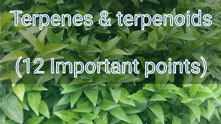 What is Terpenes and terpenoids 12 key points secondarymetabolites isopreneunits essentialoils [upl. by Ibba]