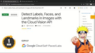 Detect Labels Faces and Landmarks in Images with the Cloud Vision API  qwiklabs  GSP037 [upl. by Latrice]