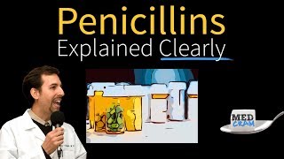 Penicillins  Antibiotics Explained Clearly [upl. by Sell133]