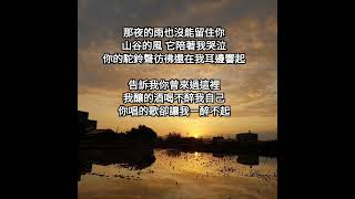 可可托海的牧羊人 亞男 [upl. by Notyrb]