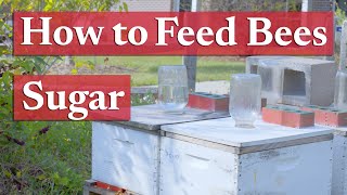 Feeding Honey Bees Sugar  Beekeeping Academy  Ep 37 [upl. by Brina]