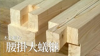 木を組む『腰掛大蟻継（こしかけおおありつぎ）』／竹中大工道具館ビデオライブラリー（Japanese version only） [upl. by Korella278]