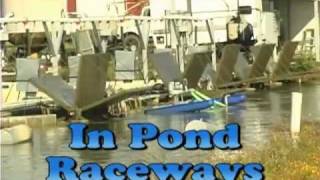 In Pond Raceways [upl. by Rebhun]