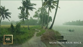 Refreshing Monsoon Rain Walk in a Beautiful Village of Kerala  ASMR Rain Sounds for Deep Sleep [upl. by Inahpets]