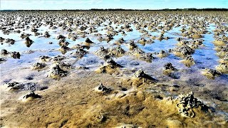 Wandern an der Nordsee  Wattwandern auf Langeoog2018 4k [upl. by Rentsch]