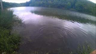 Big Carp caught at Quemahoning Reservoir 1 [upl. by Bishop777]