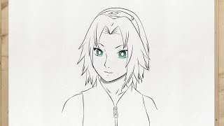 Comment dessiner SAKURA HARUNO Naruto Shippuden étape par étape et facilement [upl. by Otanod210]