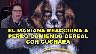 EL MARIANA REACCIONA A PERRO COMIENDO CEREAL CON CUCHARA [upl. by Erhart]