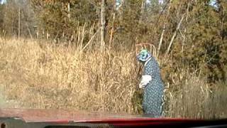 Nancy Today Harvesting red osier Dogwood [upl. by Eniahs]