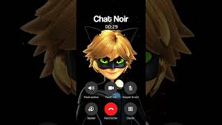 APPEL CHAT NOIR MIRACULOUS IL RÉPOND [upl. by Bev798]