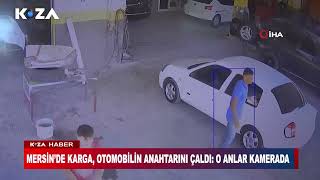 KARGA OTOMOBİLİN ANAHTARINI ÇALDI O ANLAR KAMERADA [upl. by Atwood612]