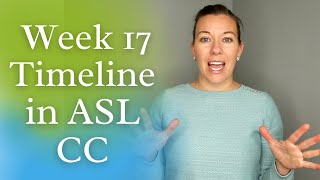 CC Week 17 Timeline Hand Motions in ASL [upl. by Farrica]