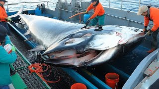 Unbelievable Halibut Catches  Mastering Longline Fishing in Alaska [upl. by Merrile]