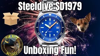 Steeldive SD1979 Automatic Dive Style Watch Unboxing Fun [upl. by Eisak]