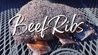 Beef Dino Ribs  Easier Than Pork Butt  Wilsons BBQ [upl. by Towrey]