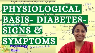 Pathophysiology of diabetes mellitus  Signs and symptoms of diabetes  Endocrine system physiology [upl. by Kubetz]