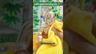 Laddu gopal  Madhav  ki morning seva✨🦚 laddugopal morningroutine krishnastatus radharanistatus [upl. by Anail]