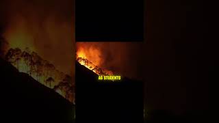 Breaking News Franklin Fire in Malibu news breakingnews fire malibu franklin cnn [upl. by Bega]